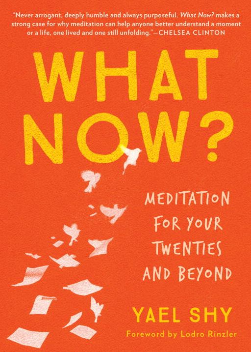 What Now?: Meditation for Your Twenties and Beyond