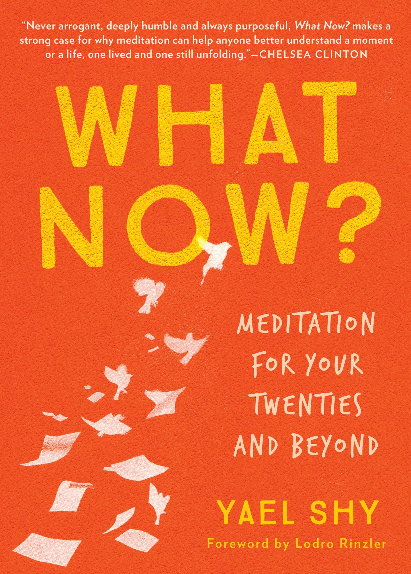 What Now?: Meditation for Your Twenties and Beyond