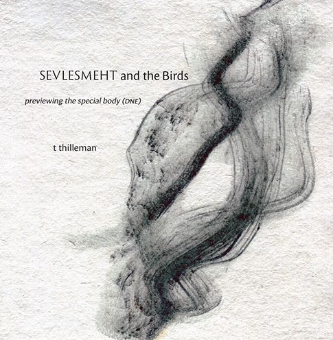 SEVLESMEHT and the Birds: previewing the special body (dne)