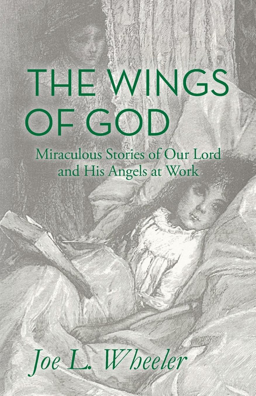 The Wings of God: Miraculous Stories of Our Lord and His Angels at Work