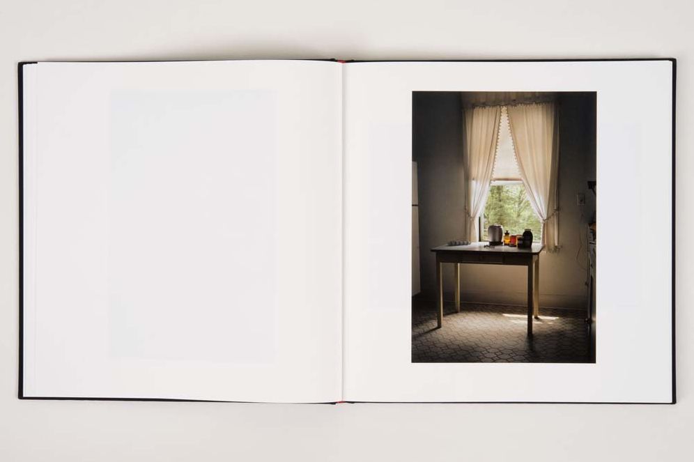William Eggleston: The Democratic Forest: Selected Works