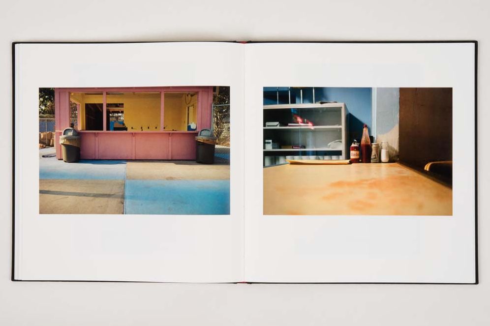William Eggleston: The Democratic Forest: Selected Works