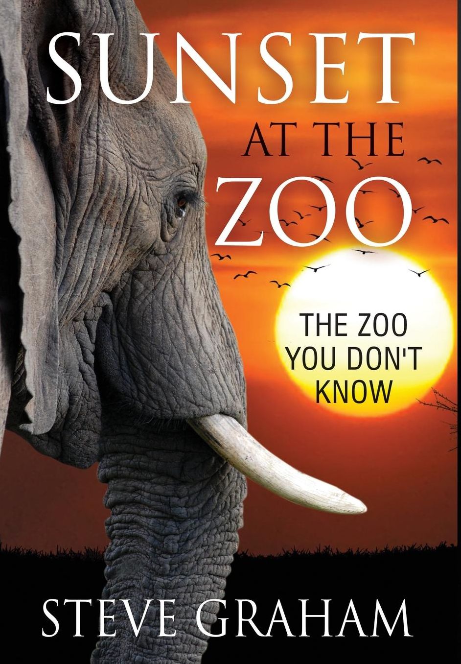 Sunset at the Zoo: The Zoo You Don't Know