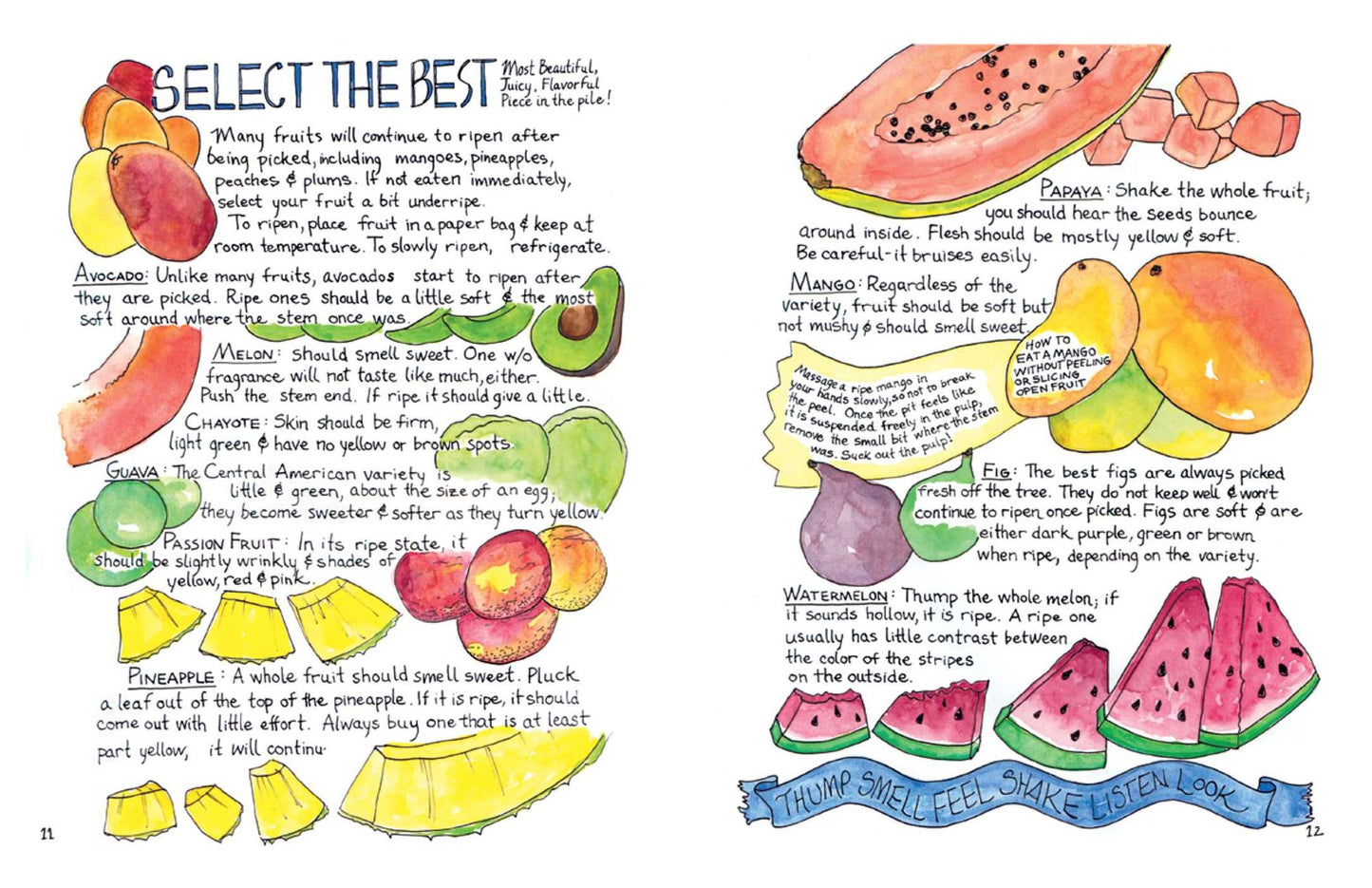 Mi Comida Latina: Vibrant, Fresh, Simple, Authentic