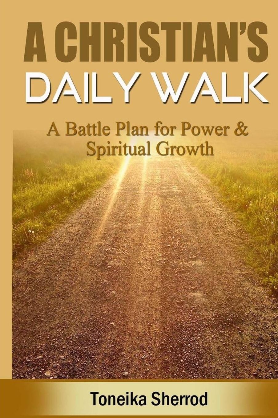A Christian's Daily Walk: A Battle Plan For Power & Spiritual Growth
