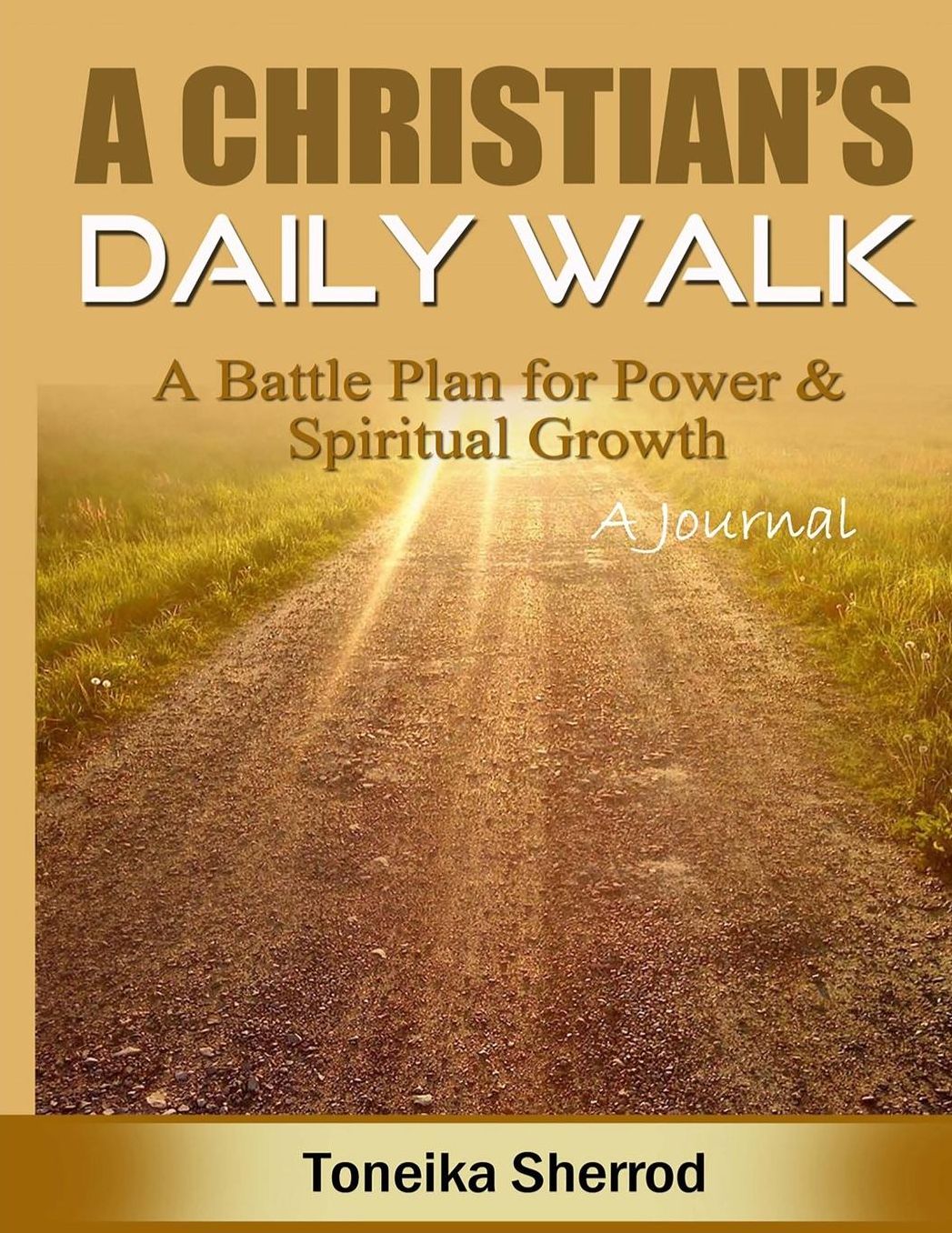 A Christian's Daily Walk (A Journal): A Battle Plan for Power & Spiritual Growth
