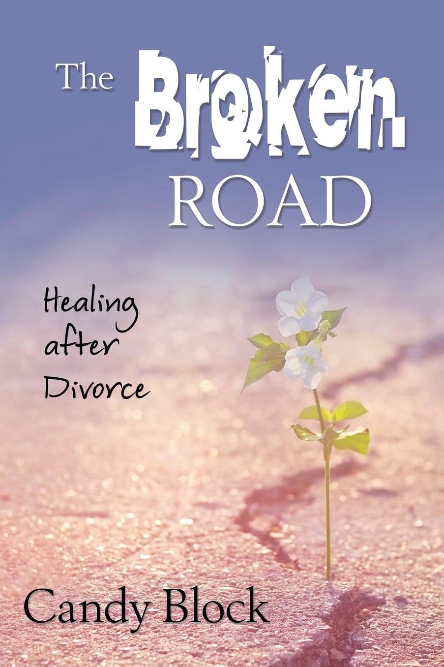 The Broken Road: Healing after Divorce