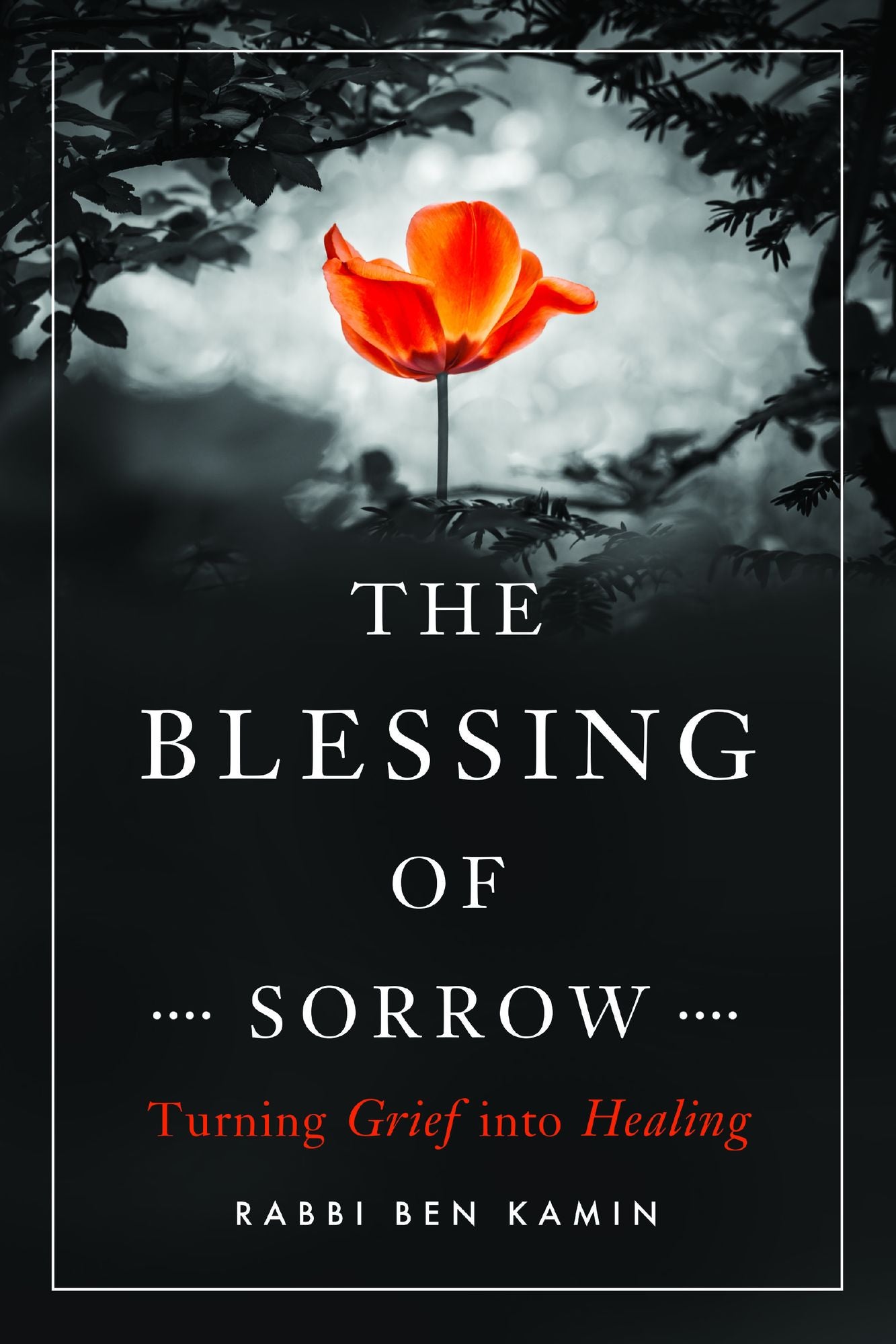 The Blessing of Sorrow: Turning Grief Into Healing