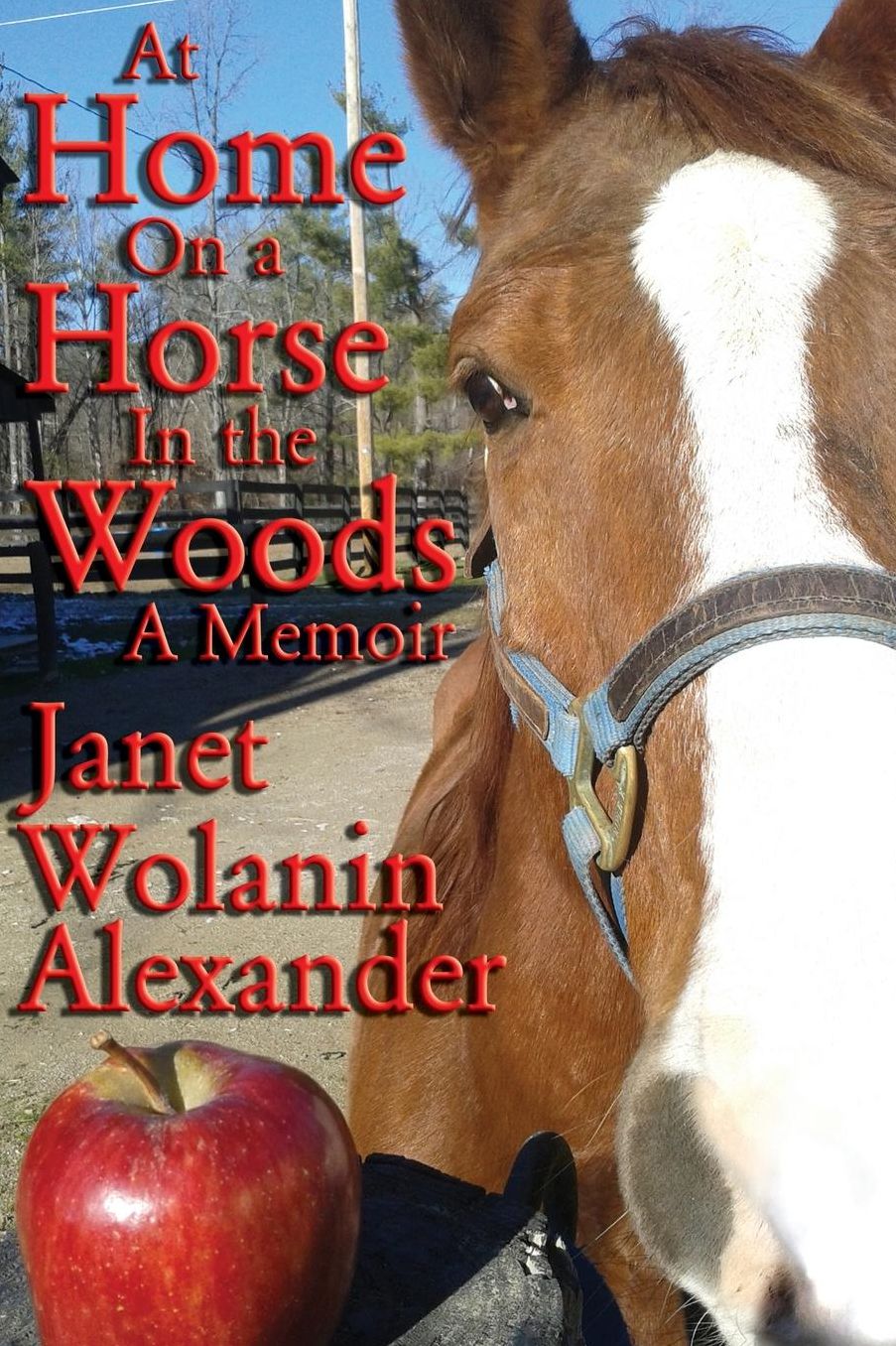 At Home On a Horse in the Woods: A Memoir