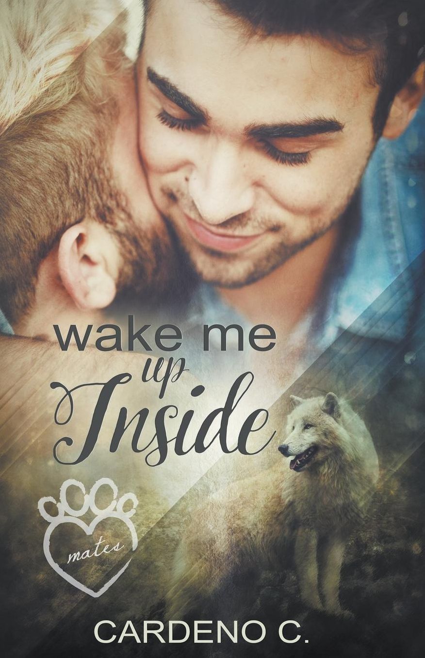 Wake Me Up Inside