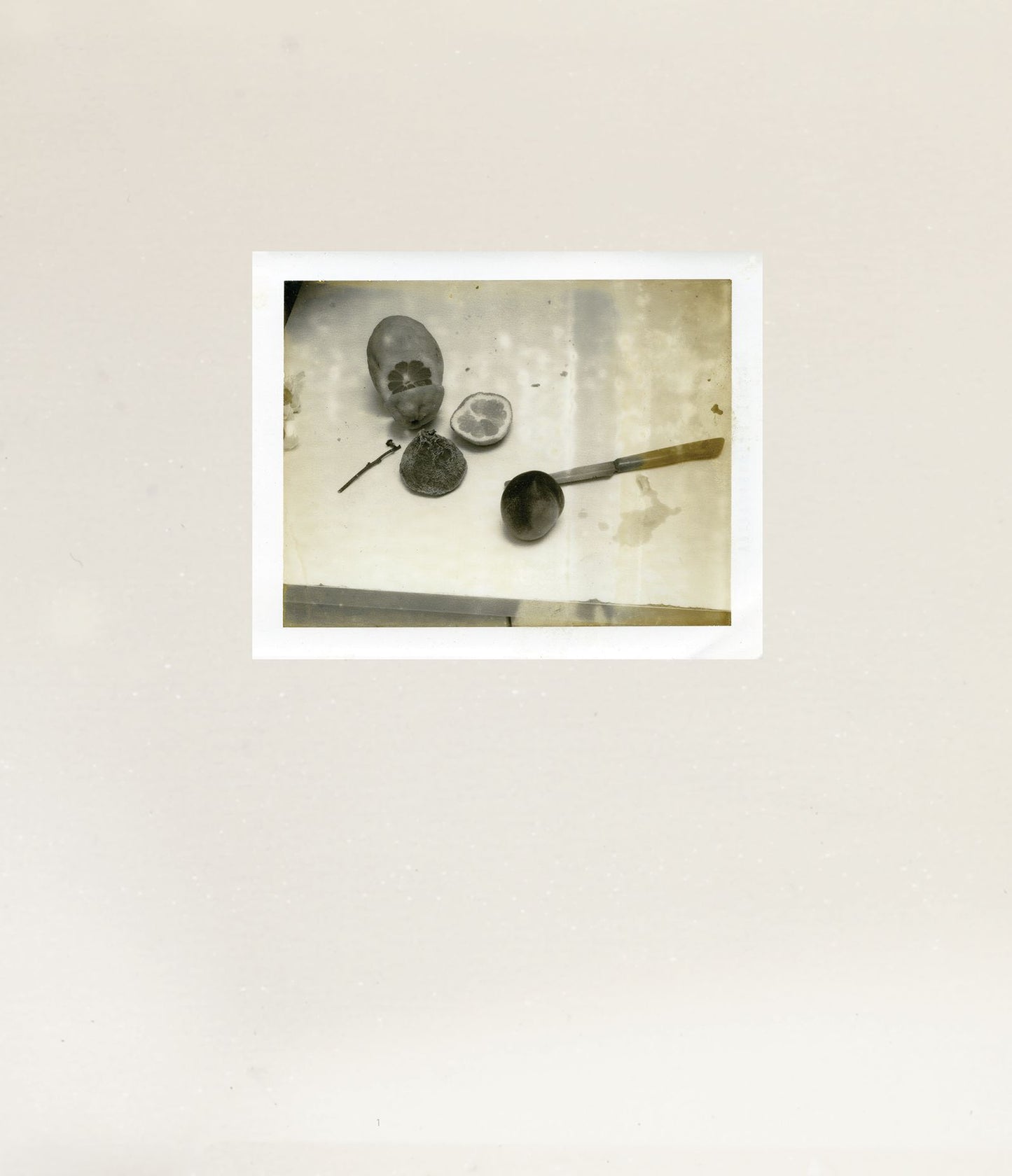 Laura Letinsky: Time's Assignation: The Polaroids