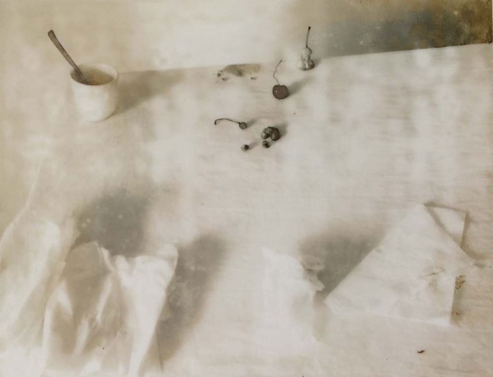 Laura Letinsky: Time's Assignation: The Polaroids