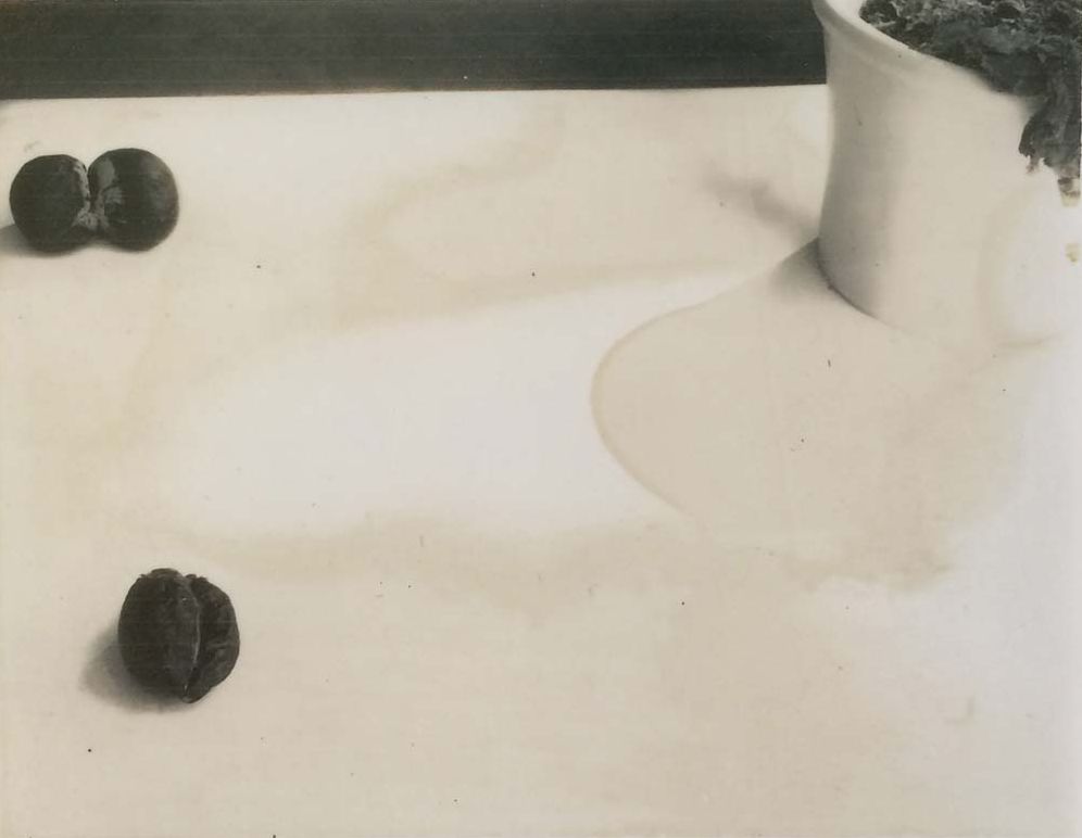 Laura Letinsky: Time's Assignation: The Polaroids