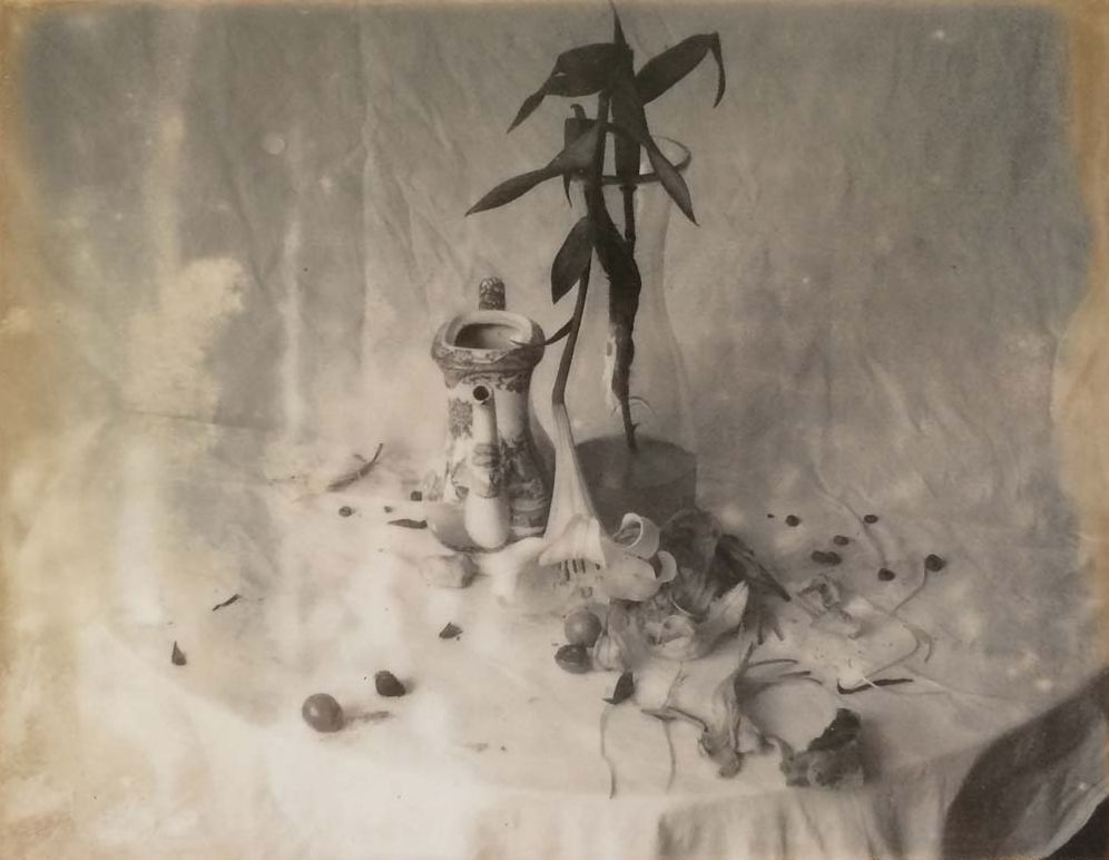 Laura Letinsky: Time's Assignation: The Polaroids