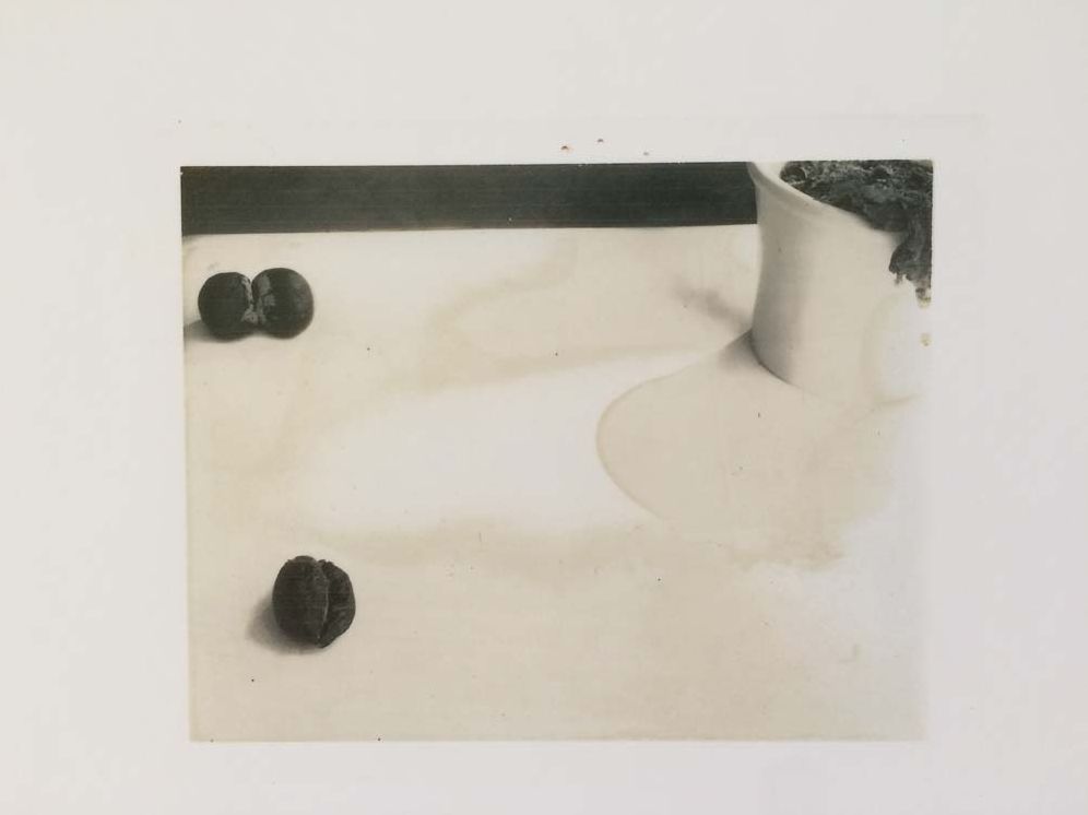 Laura Letinsky: Time's Assignation: The Polaroids