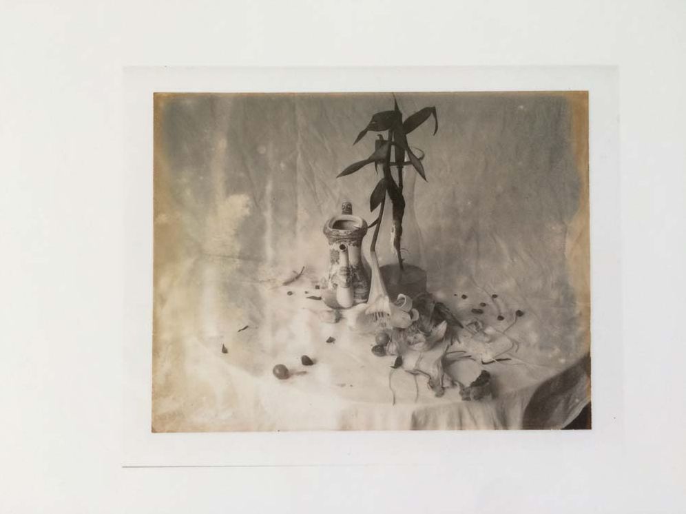 Laura Letinsky: Time's Assignation: The Polaroids