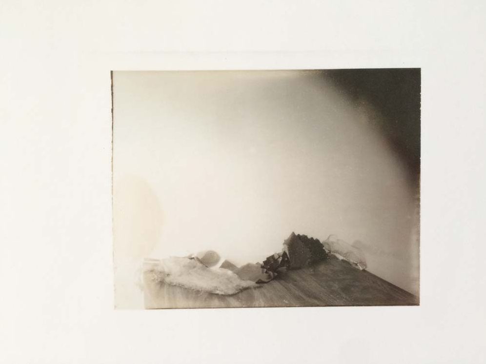 Laura Letinsky: Time's Assignation: The Polaroids