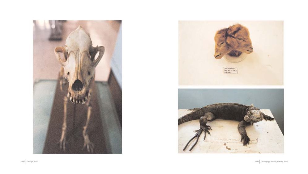 Alex Webb & Rebecca Norris Webb: Violet Isle: Second Edition