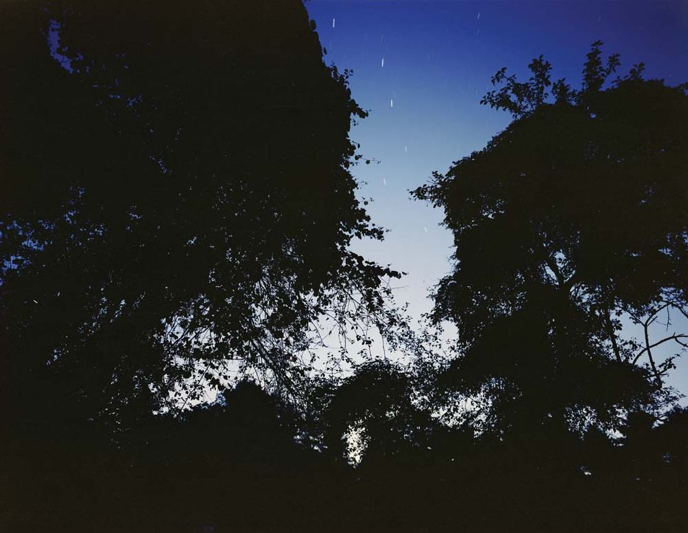 Barbara Bosworth: The Heavens