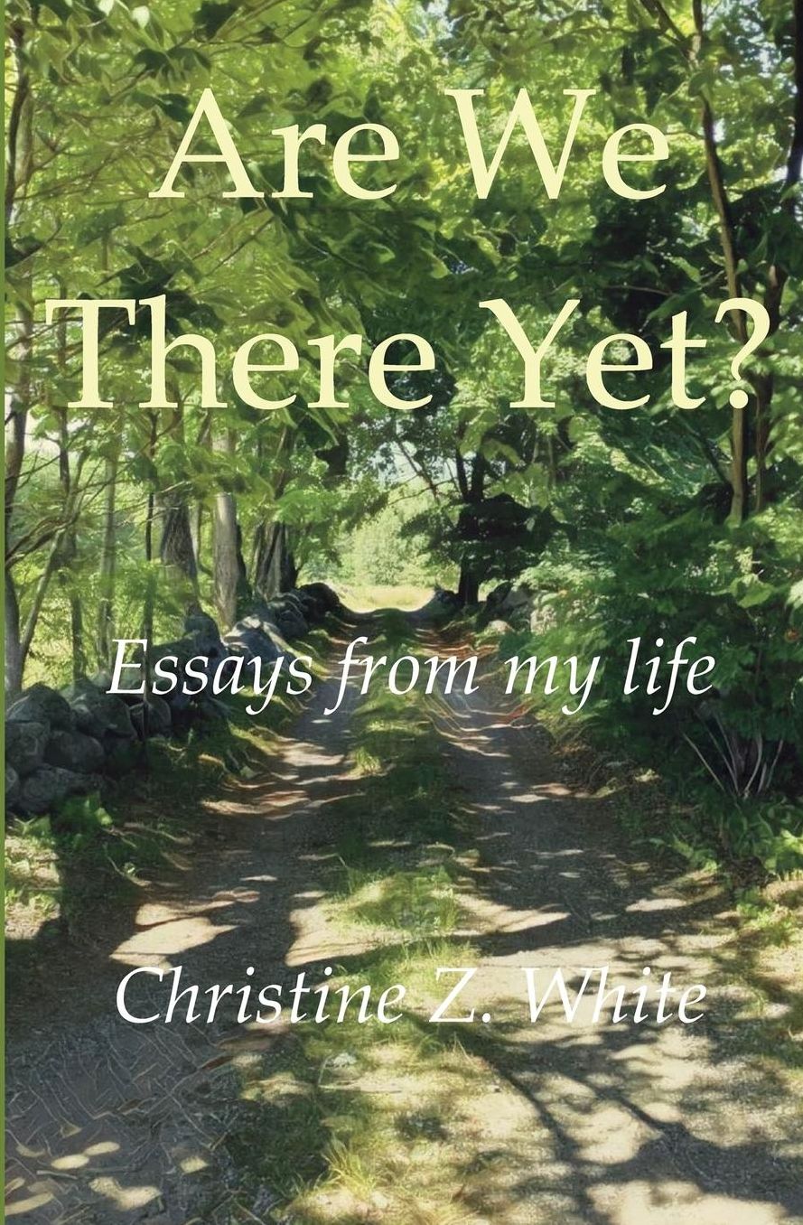 Are We There Yet?: Essays from My Life