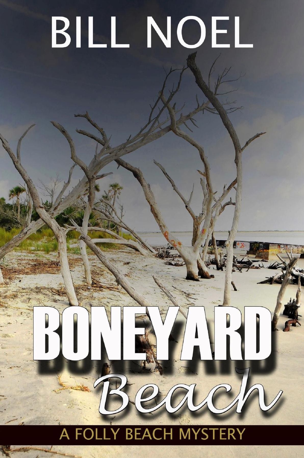 Boneyard Beach: A Folly Beach Mystery