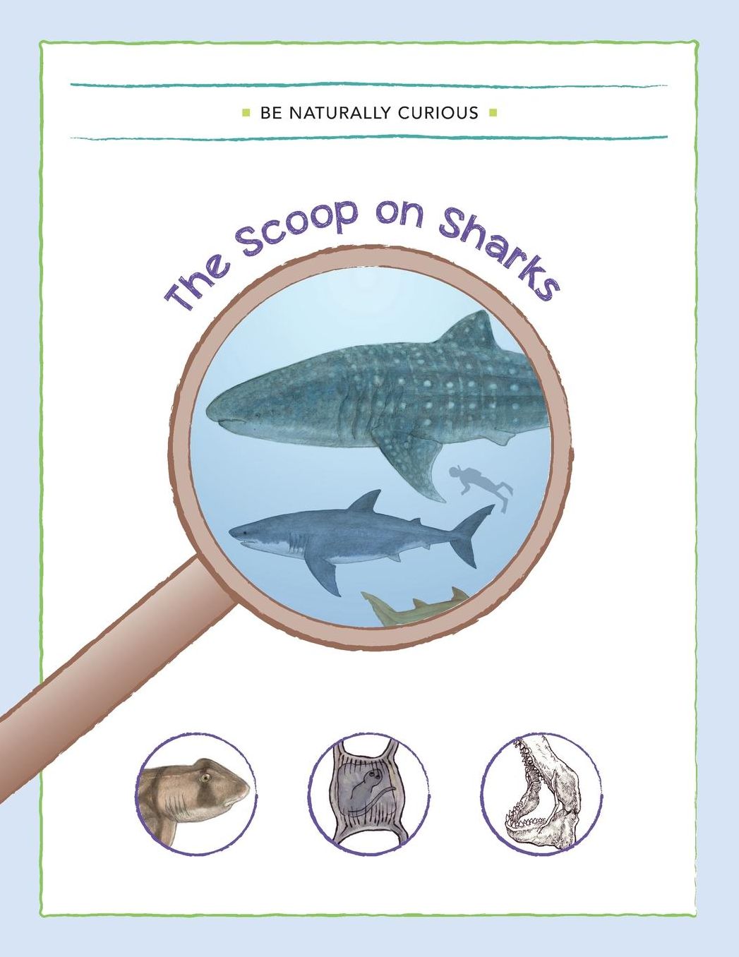 The Scoop on Sharks