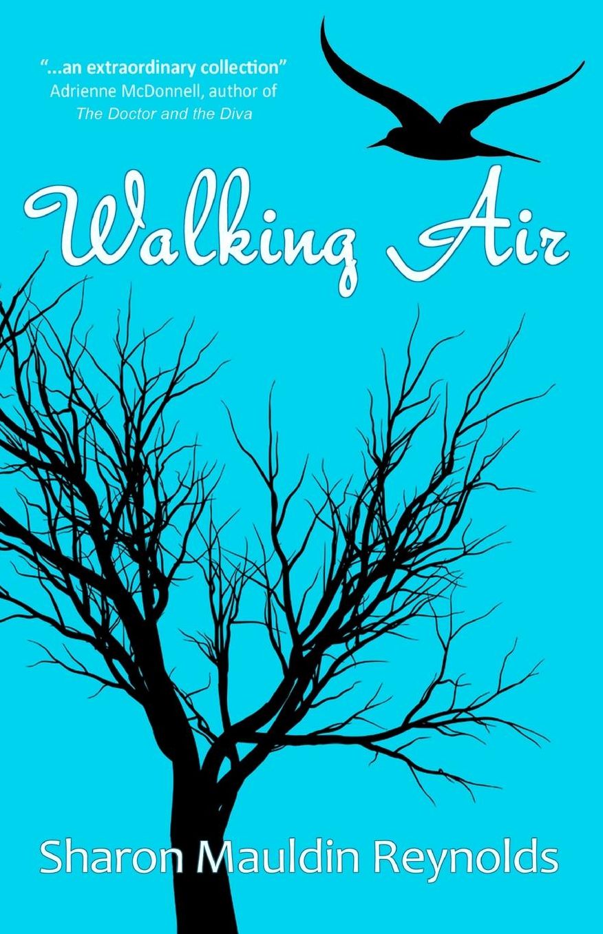 Walking Air