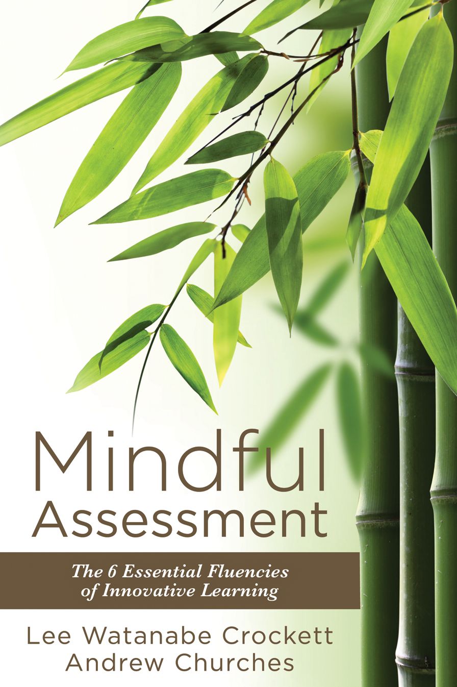 Mindful Assessment: The 6 Essential Fluencies of Innovative Learning (Teaching 21sr Century Skills to Modern Learners)