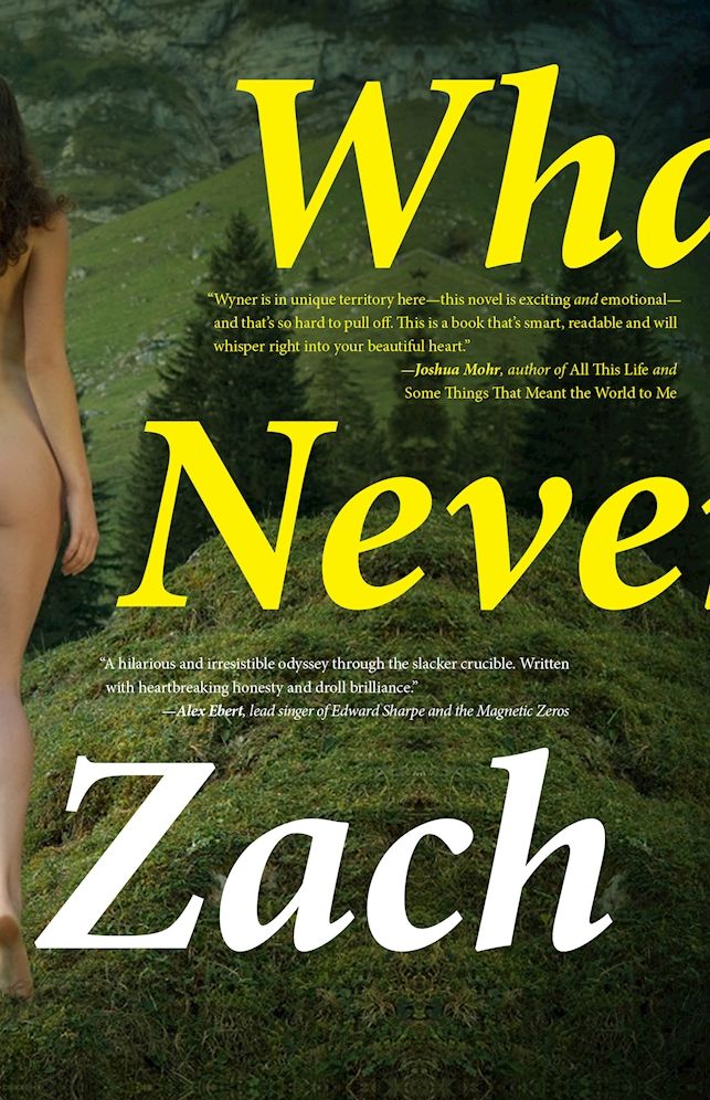What We Never Had: A Novel