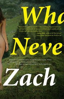 What We Never Had: A Novel