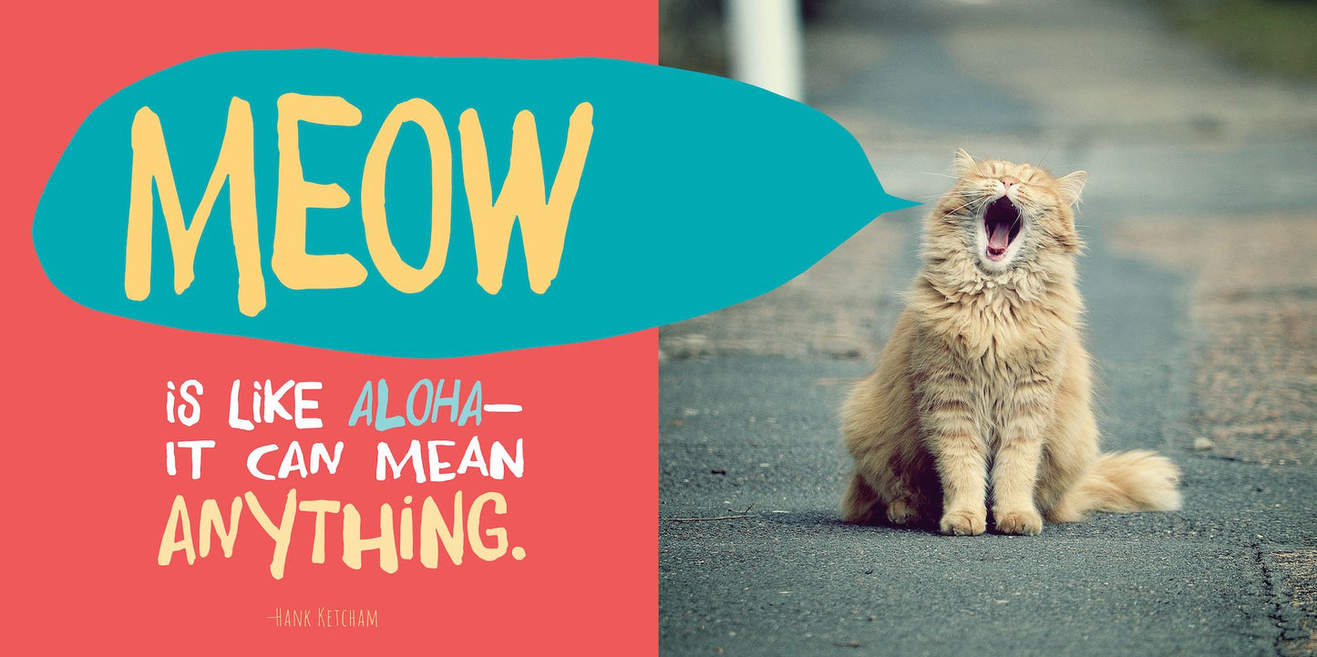 If It Fits, I Sits: The Ultimate Cat Quote Book