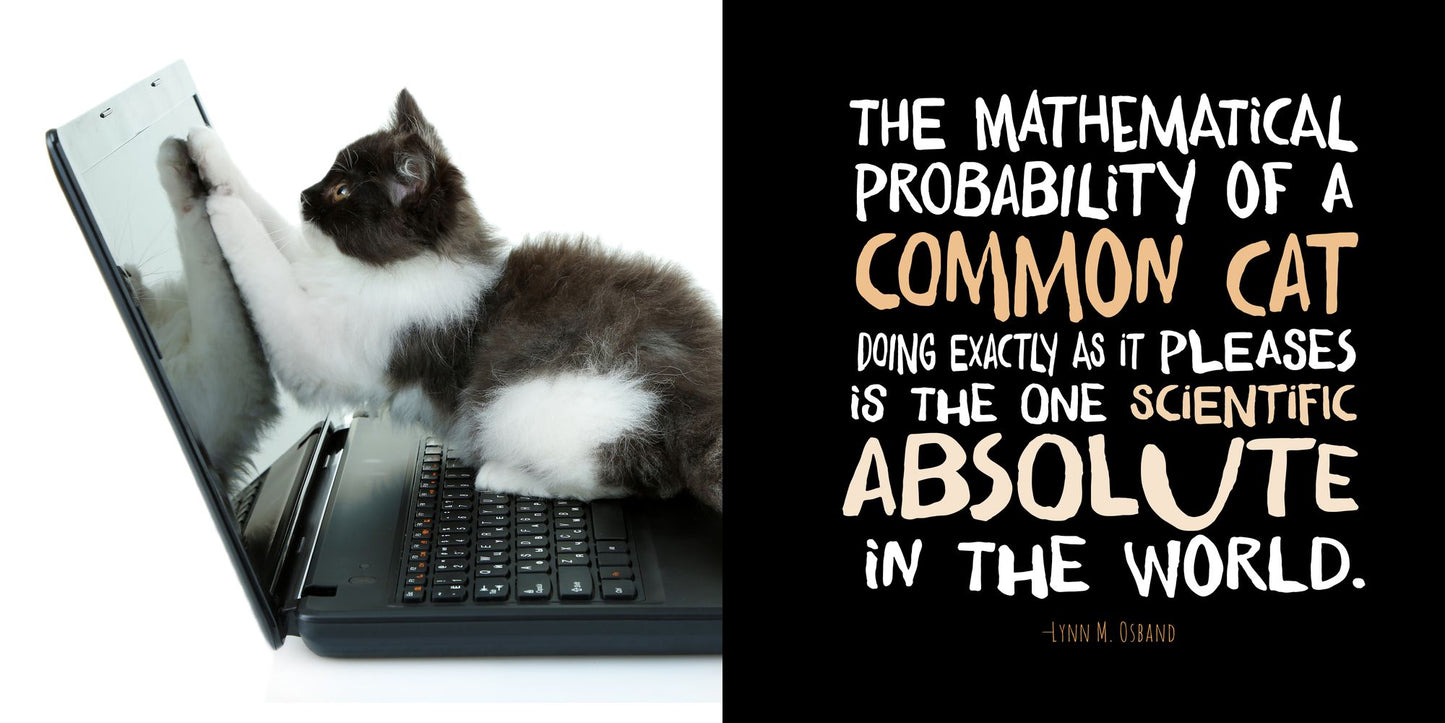 If It Fits, I Sits: The Ultimate Cat Quote Book