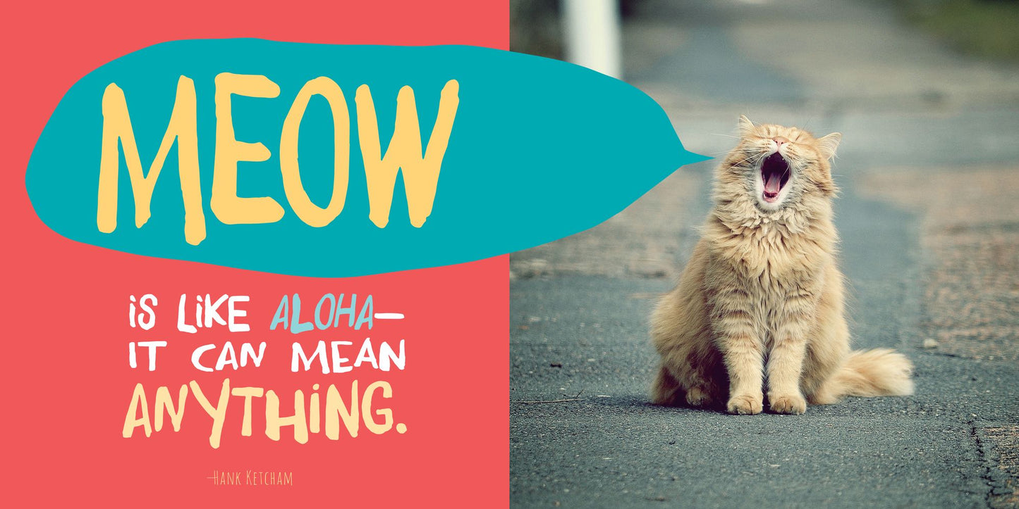 If It Fits, I Sits: The Ultimate Cat Quote Book