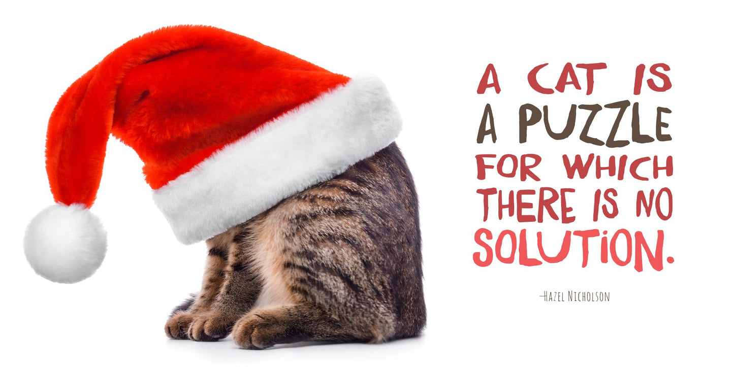 If It Fits, I Sits: The Ultimate Cat Quote Book