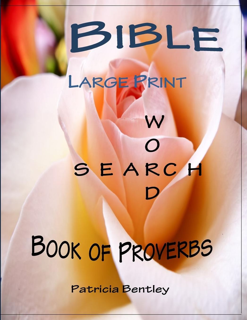 Bible Large Print Word Search: Book of Proverbs