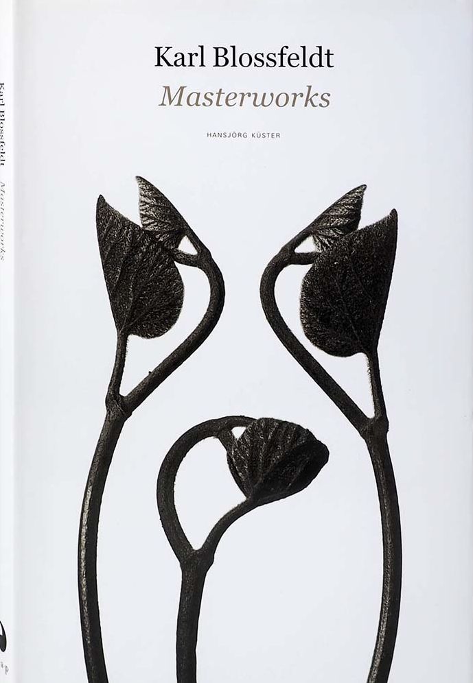 Karl Blossfeldt: Masterworks