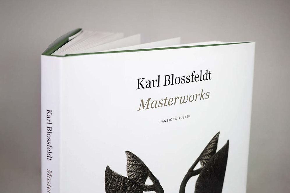 Karl Blossfeldt: Masterworks