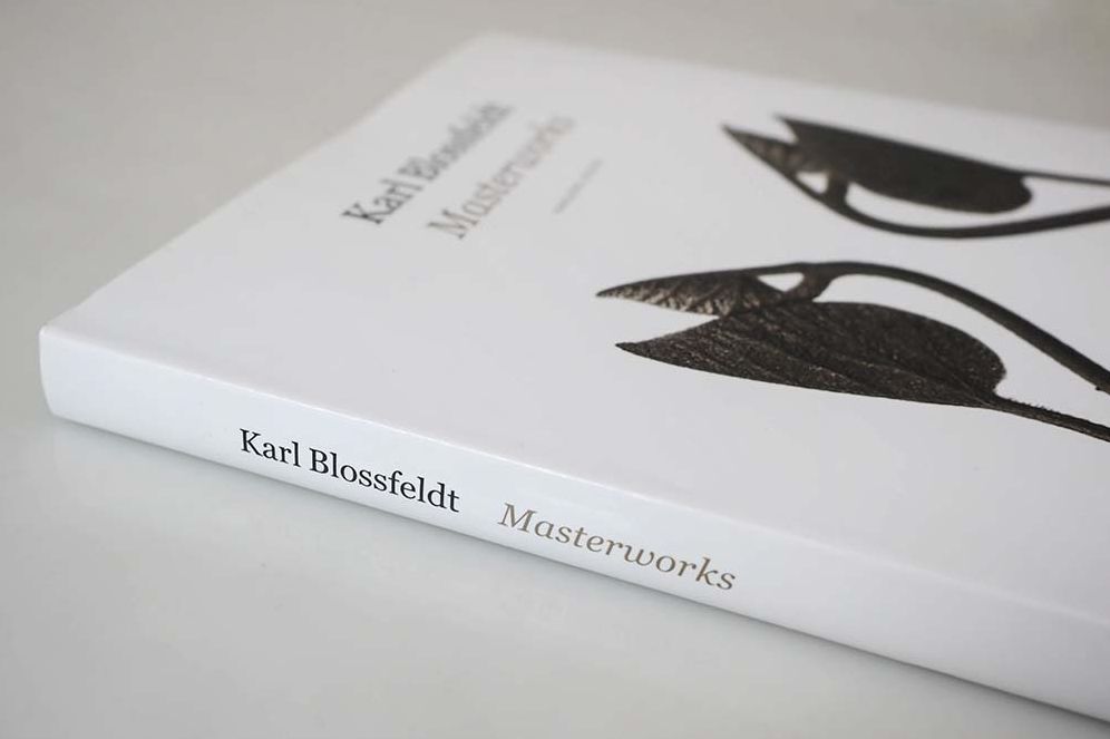 Karl Blossfeldt: Masterworks