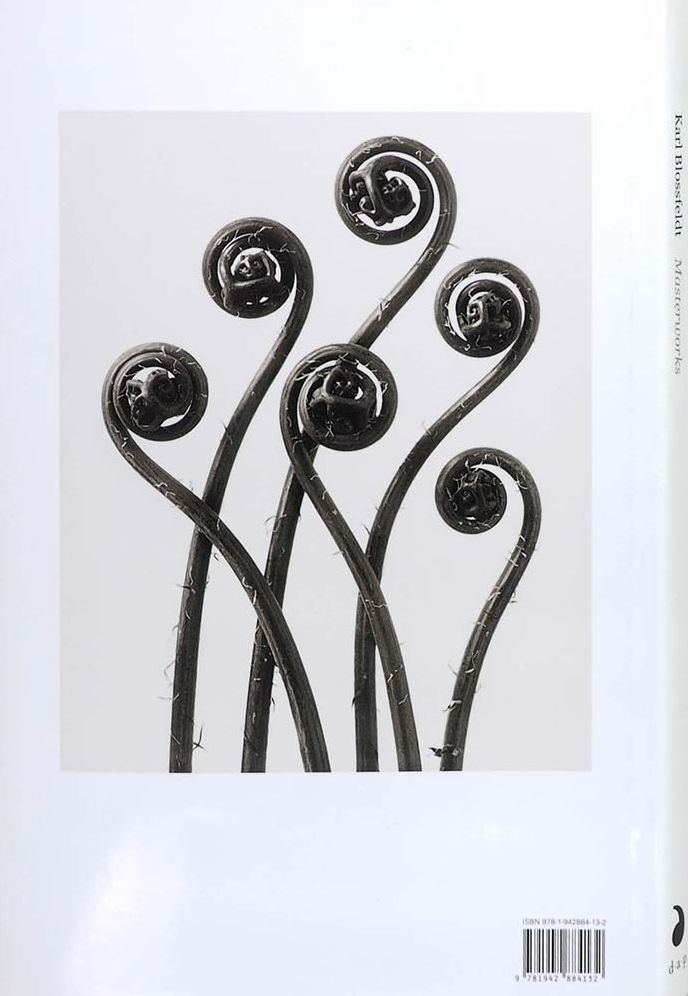 Karl Blossfeldt: Masterworks