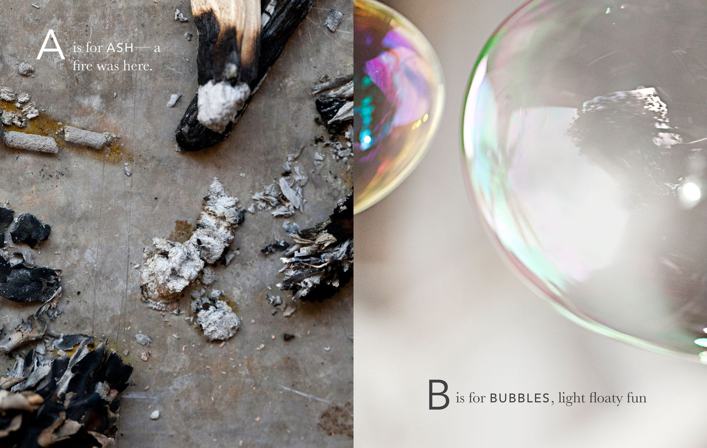 A Beauty Collected: A Captivating ABC Book to Discover the Beauty Around You