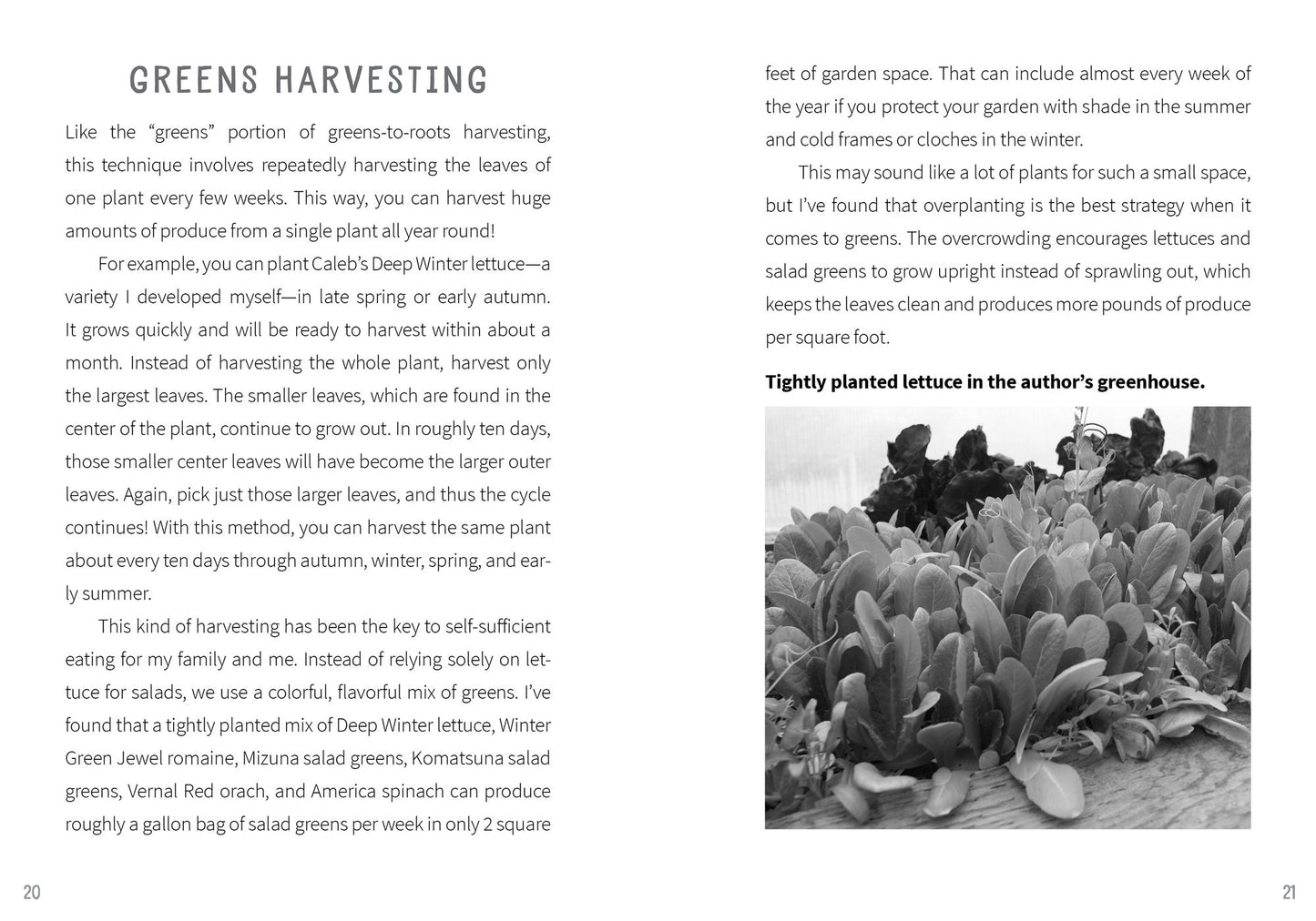 Tiny Garden, Huge Harvest: How to Harvest Huge Crops From Mini Plots and Container Gardens
