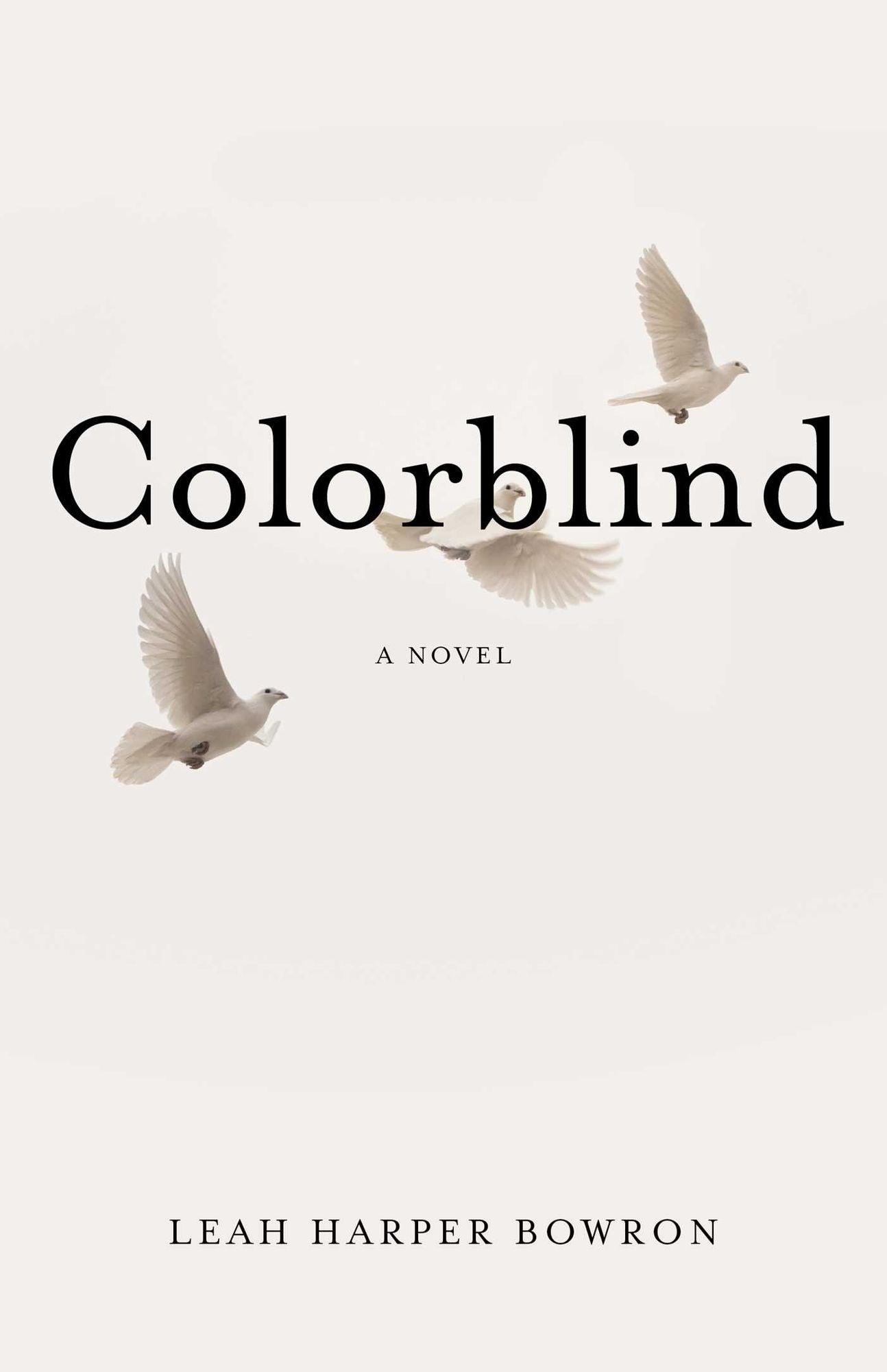 Colorblind: A Novel