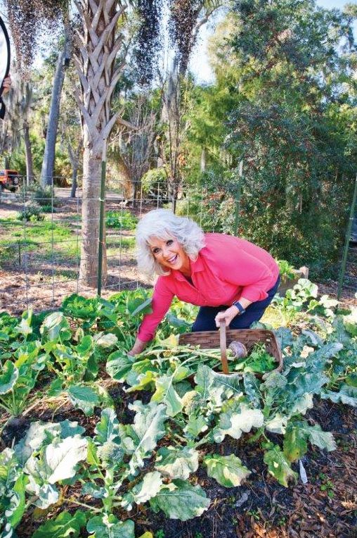 Paula Deen Cuts the Fat: 250 Recipes Lightened Up