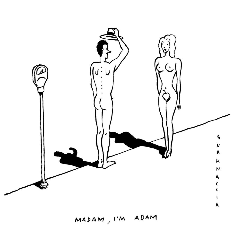 Do Geese See God?: A Palindrome Anthology