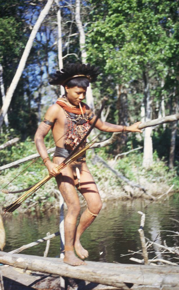Save The Planet: An Amazonian Tribal Leader Fights for His People, The Rainforest, and The Earth