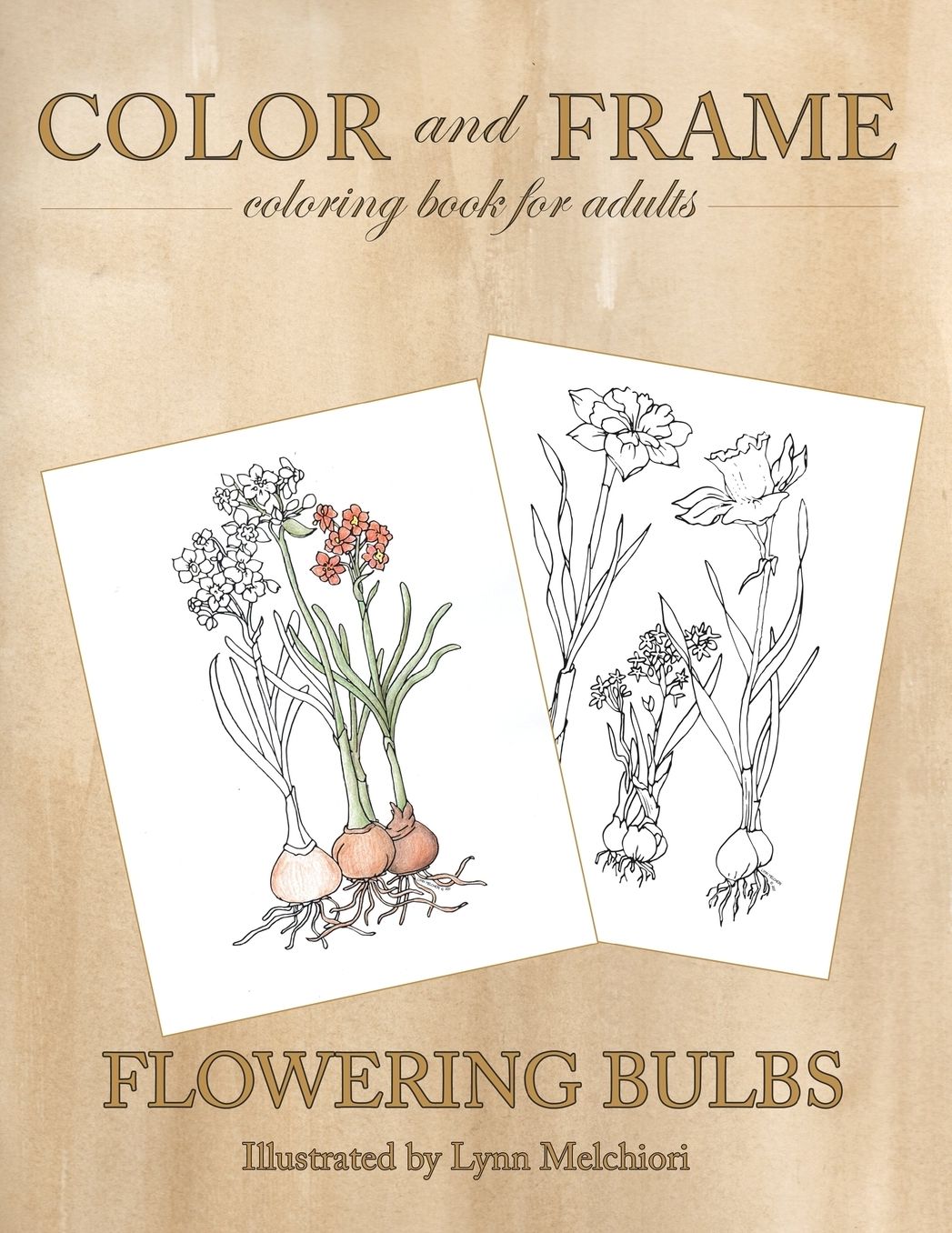 Color and Frame: Flowering Bulbs