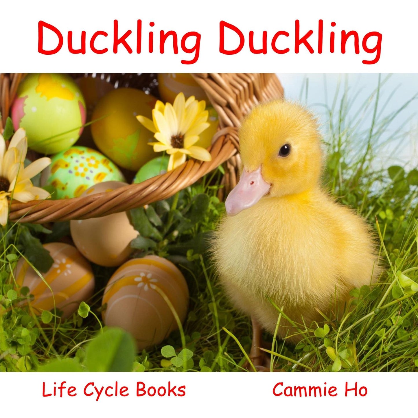 Life Cycle Books