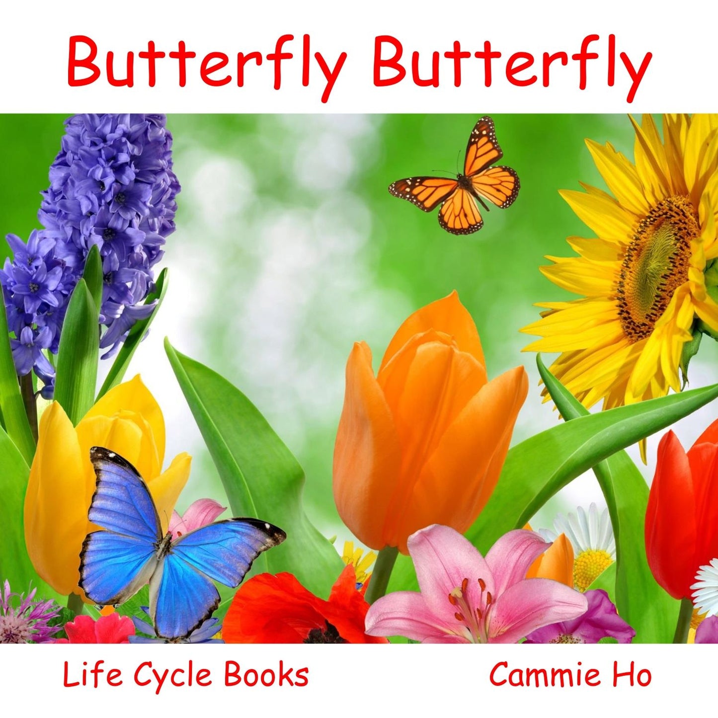 Life Cycle Books
