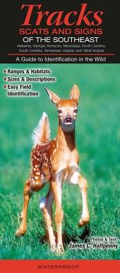 Tracks, Scats and Signs of the Southeast: A Guide to Identification in the Wild