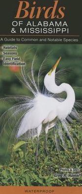 Birds of Alabama and Mississippi: A Guide to Common & Notable Species